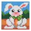 Kit mezzopunto "il coniglio" livello facile orchidea/zweigart