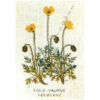 gerda bengtsson fjeld-valmue/papavero giallo cm 20 x 30 kit 30-4551